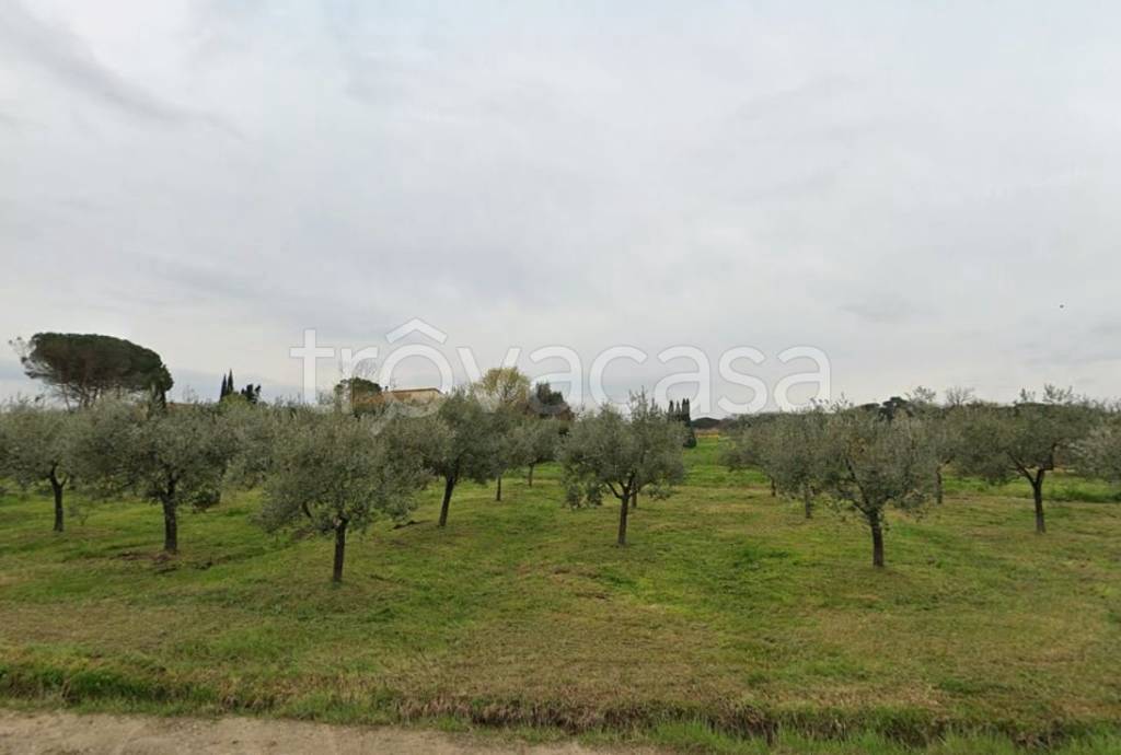 immagine annuncio 7 di 8