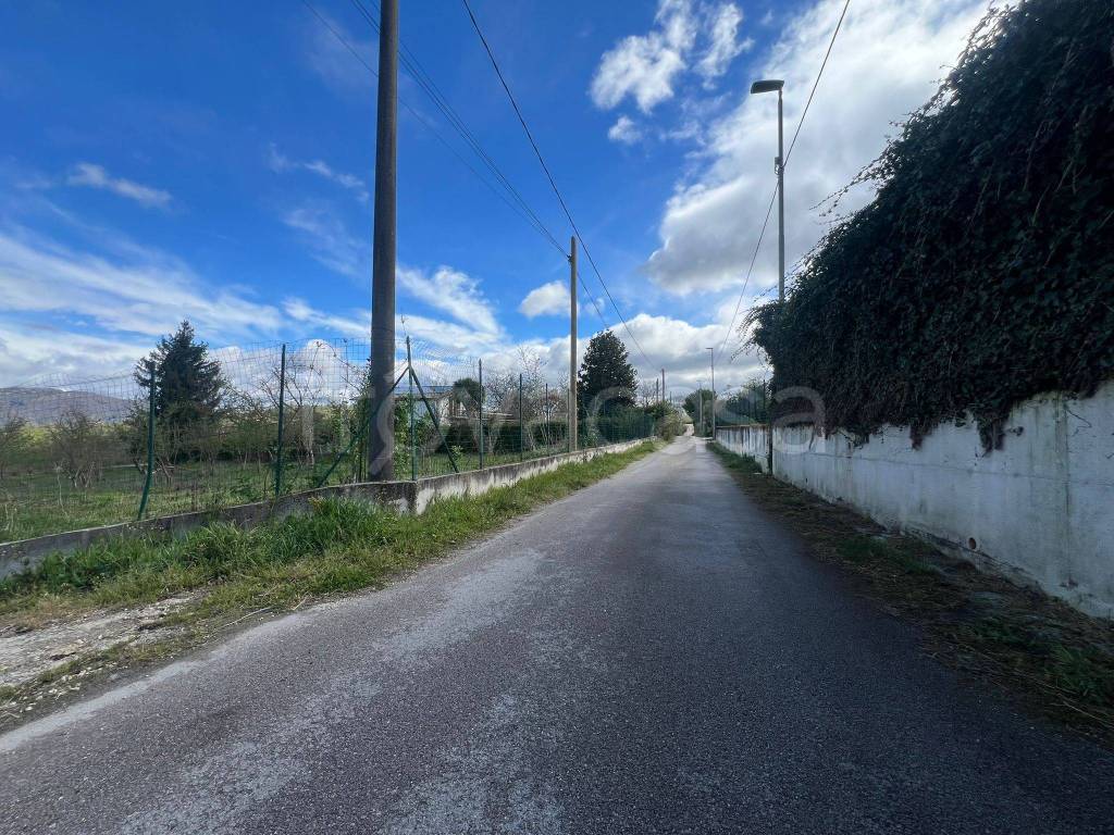 immagine annuncio 6 di 7