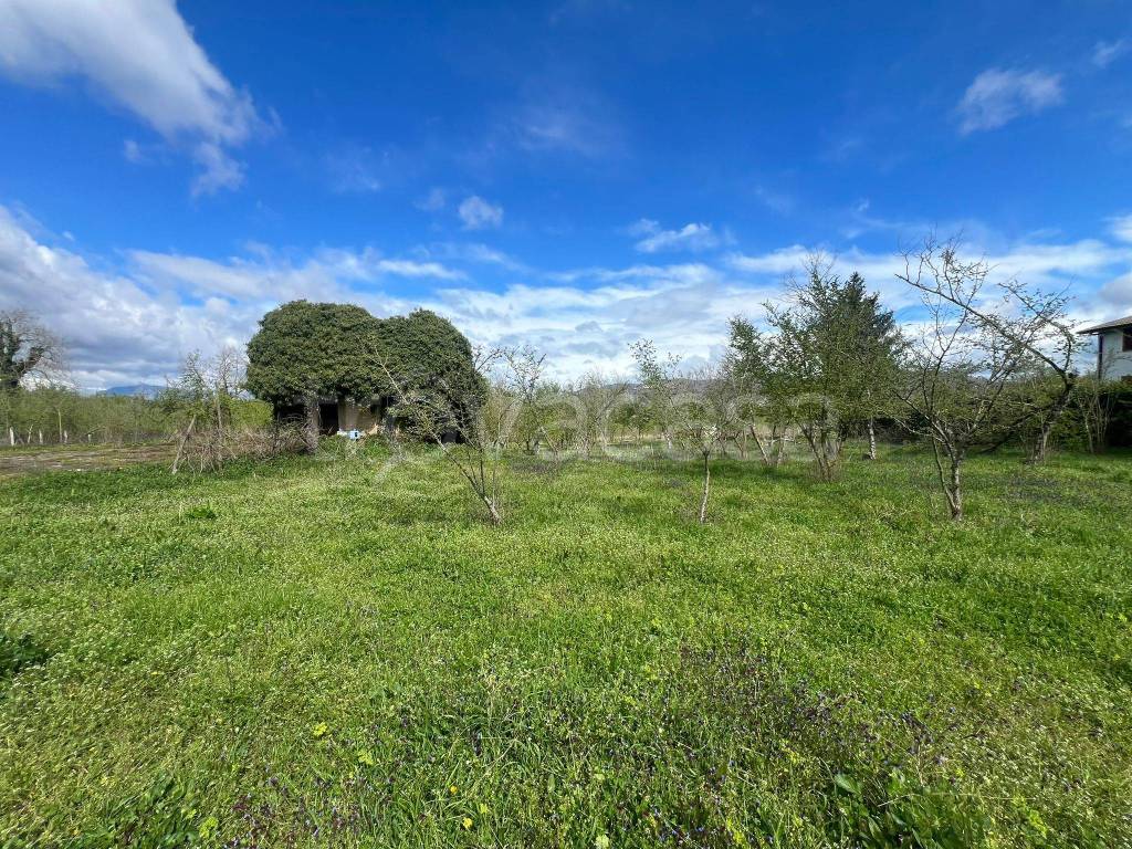 immagine annuncio 2 di 7