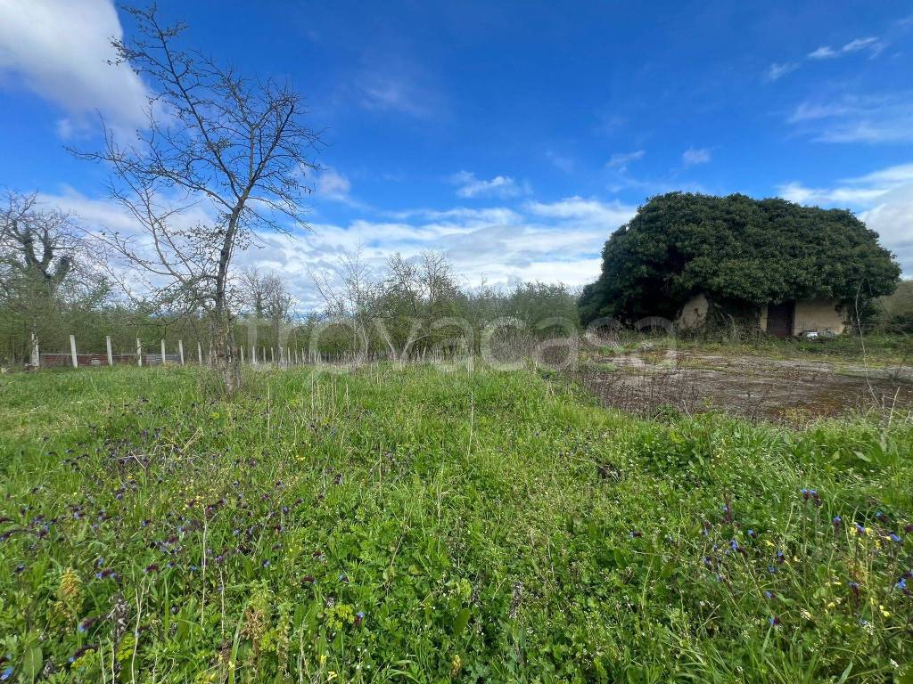 immagine annuncio 3 di 7