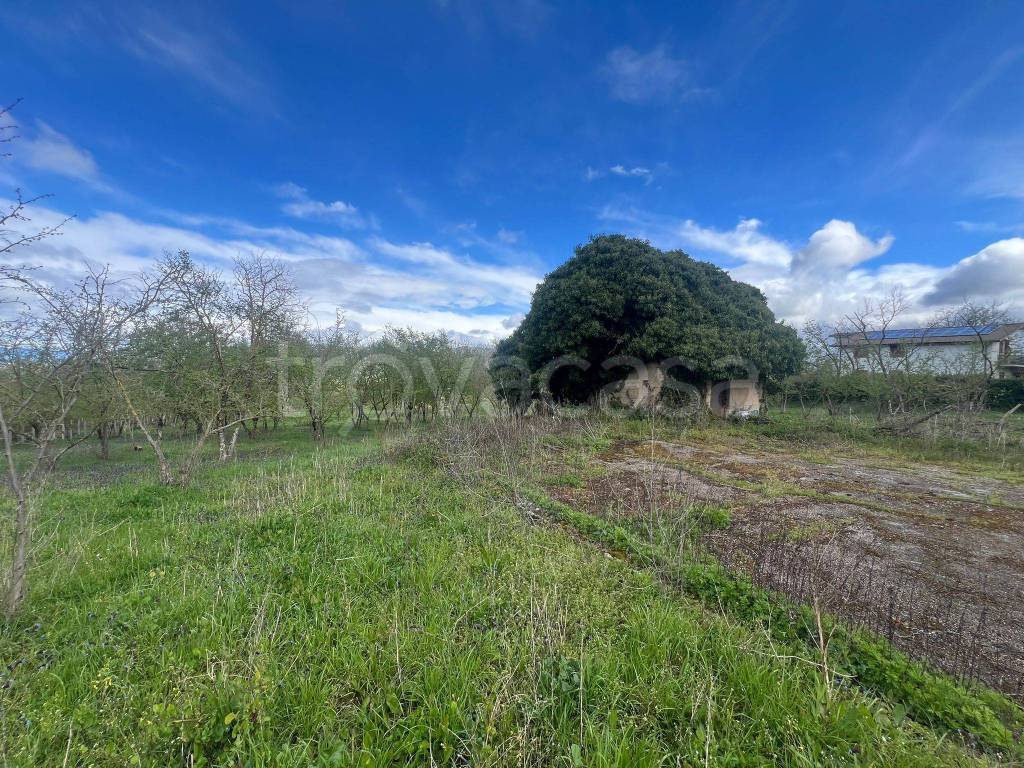 immagine annuncio 4 di 7