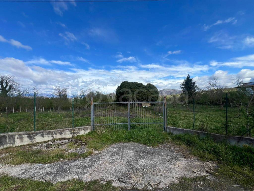 immagine annuncio 5 di 7