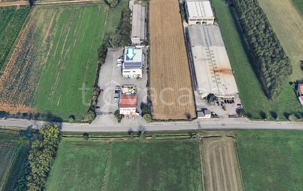 immagine annuncio 1 di 2