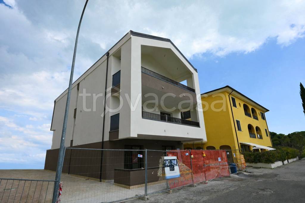 immagine annuncio 5 di 14