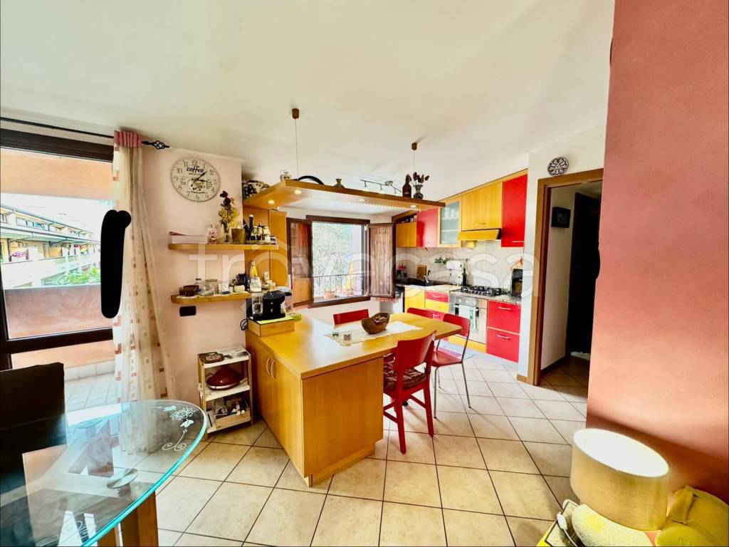 immagine annuncio 3 di 15