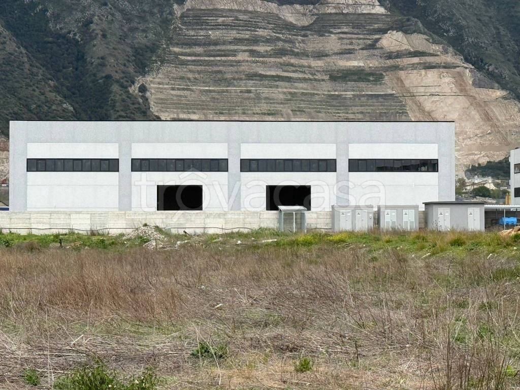 immagine annuncio 12 di 14