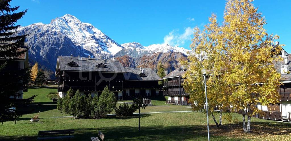 immagine annuncio 13 di 14