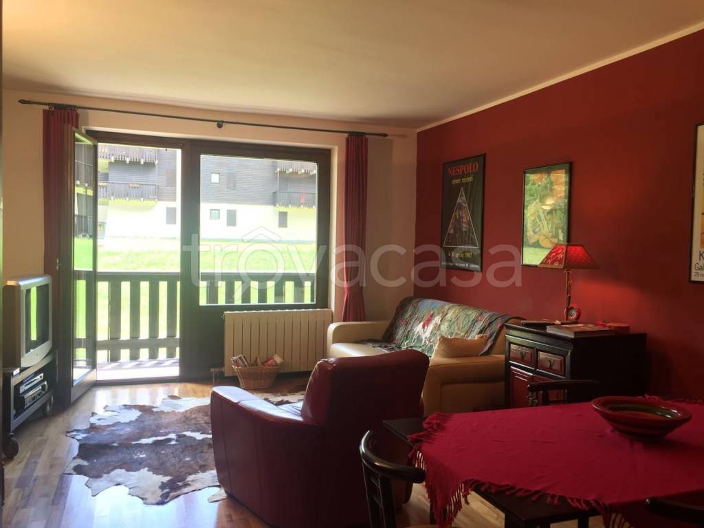 immagine annuncio 1 di 14