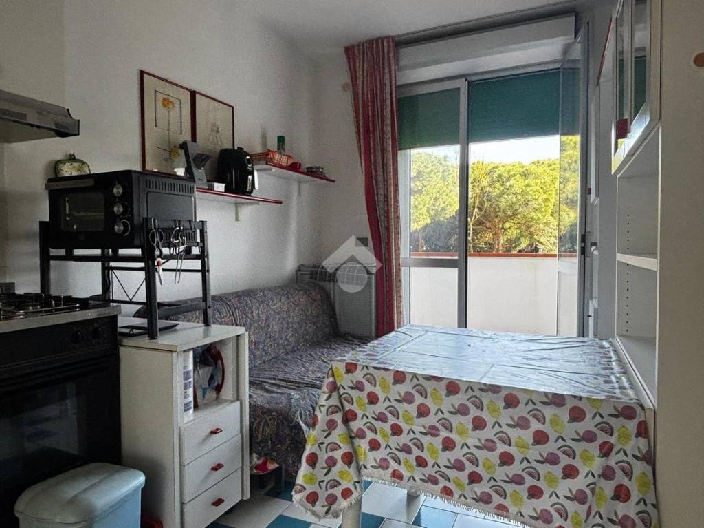 immagine annuncio 2 di 7