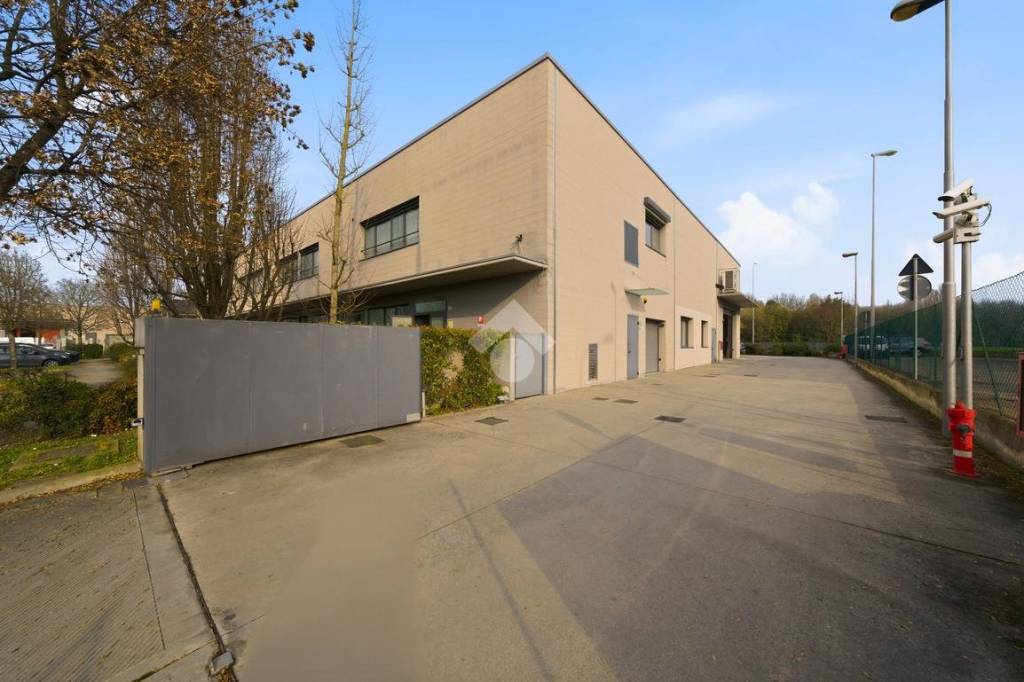 immagine annuncio 6 di 15