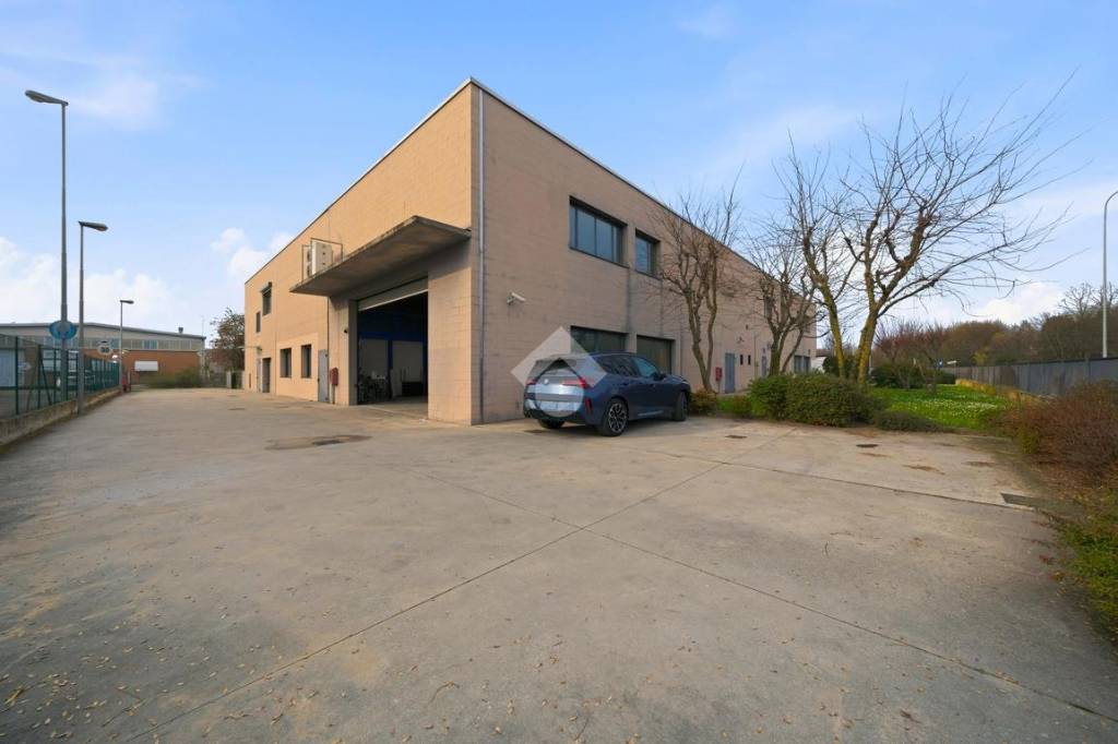 immagine annuncio 8 di 15