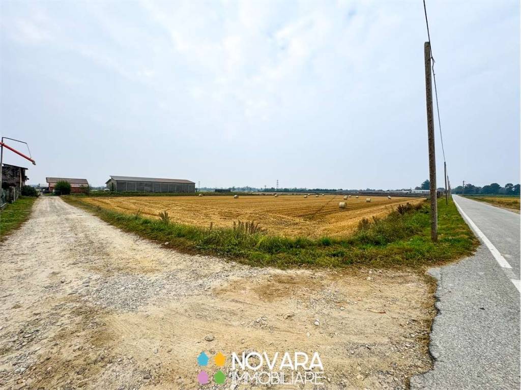 immagine annuncio 3 di 6