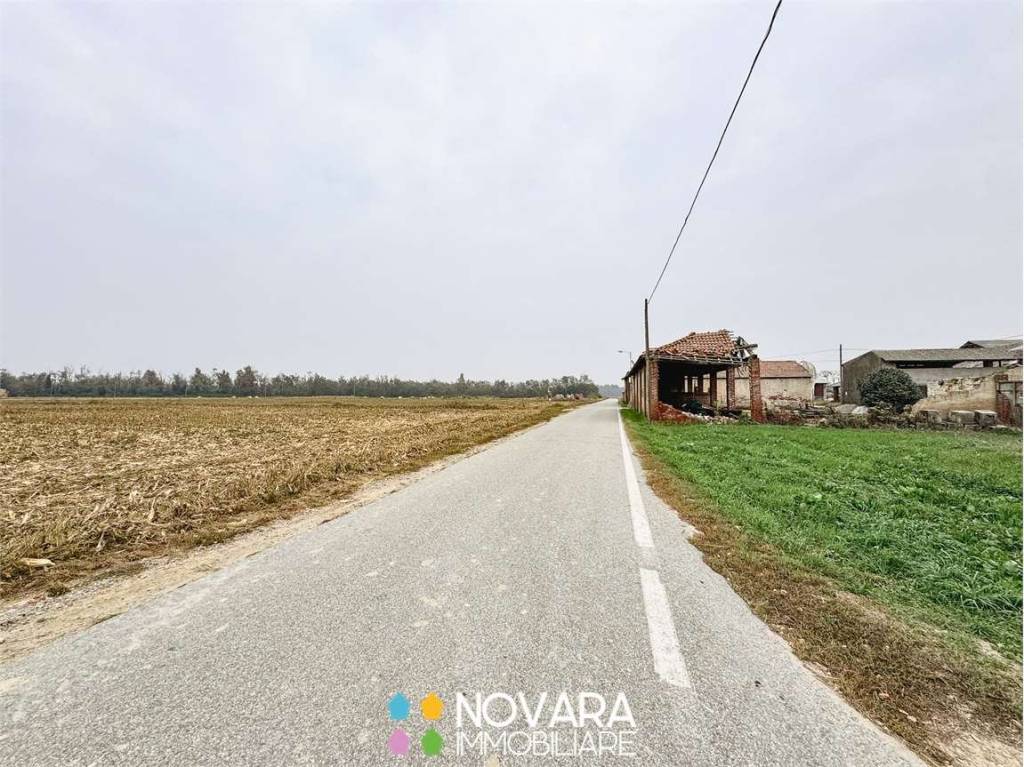 immagine annuncio 4 di 6