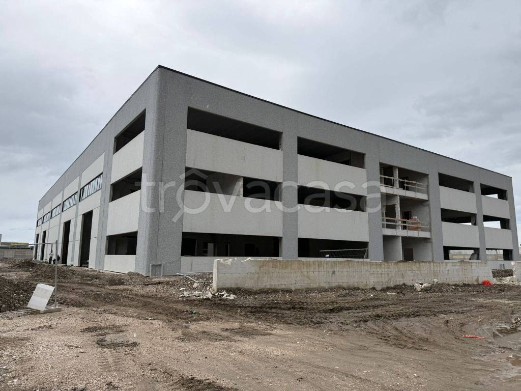 immagine annuncio 8 di 11