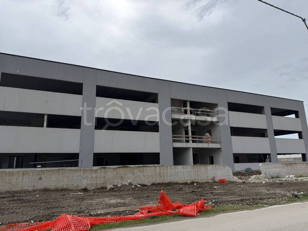 immagine annuncio 9 di 11