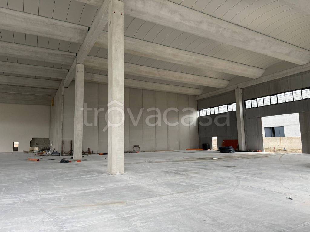 immagine annuncio 5 di 11