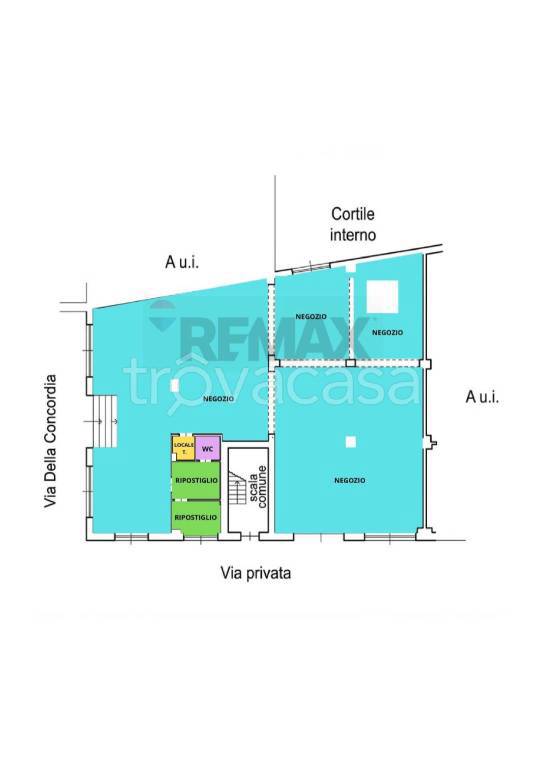 immagine annuncio 11 di 12