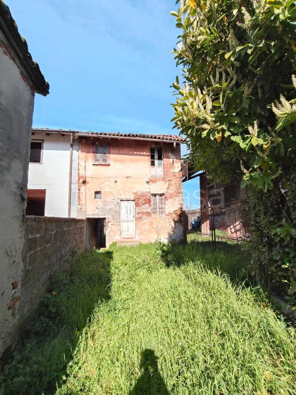 immagine annuncio 9 di 13