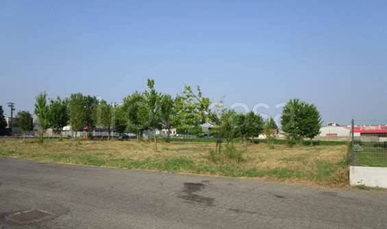 immagine annuncio 3 di 11