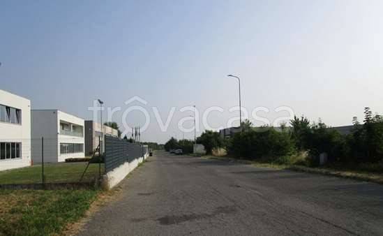 immagine annuncio 5 di 11