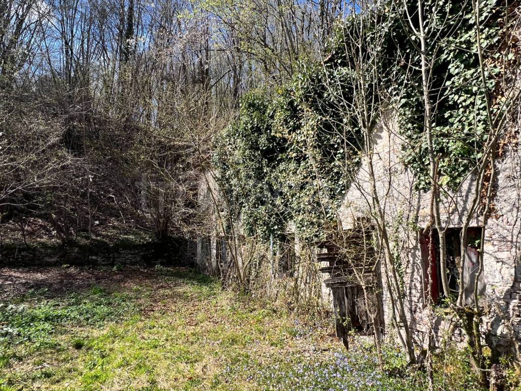 immagine annuncio 4 di 12