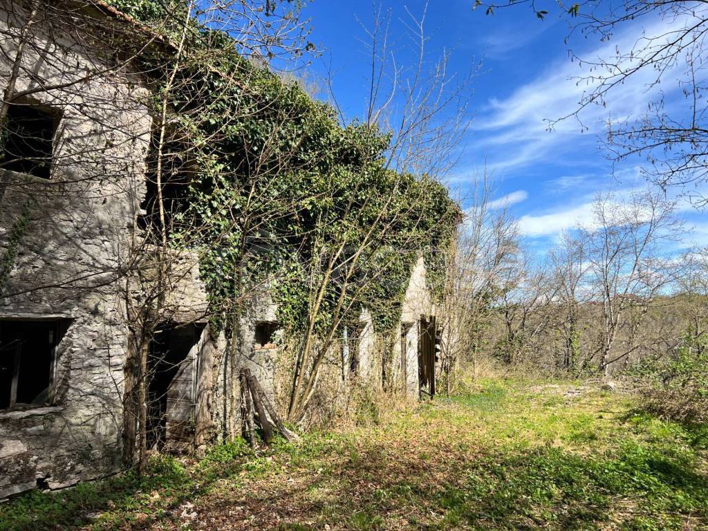 immagine annuncio 5 di 12