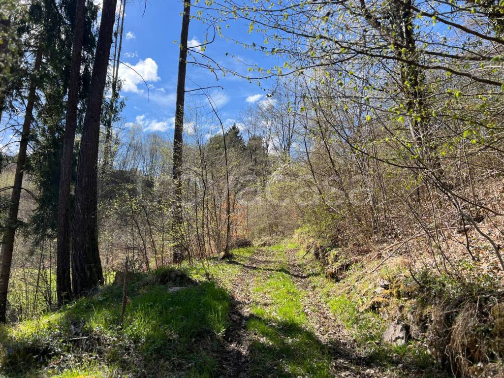 immagine annuncio 6 di 12