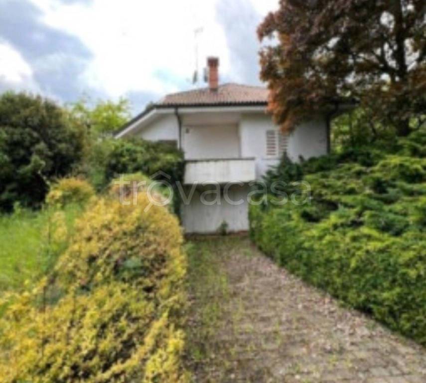 immagine annuncio 2 di 12