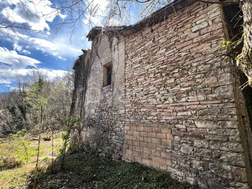 immagine annuncio 9 di 12