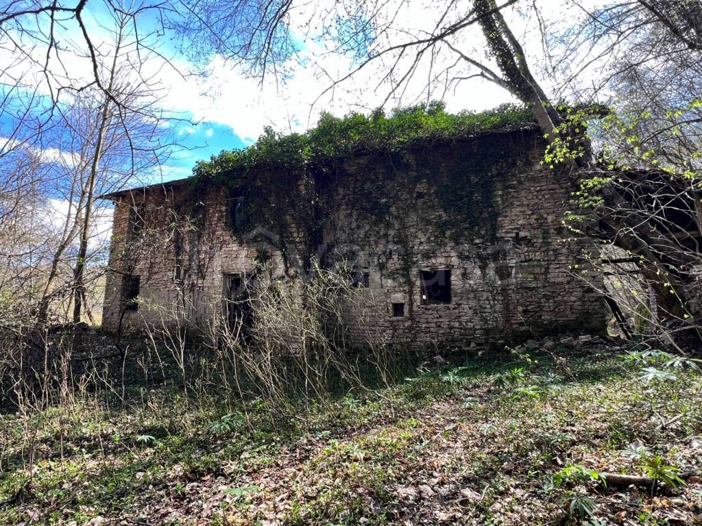 immagine annuncio 10 di 12