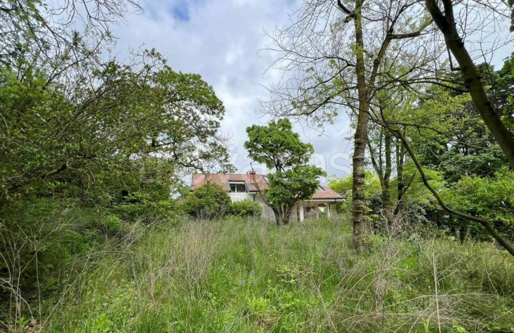 immagine annuncio 5 di 12