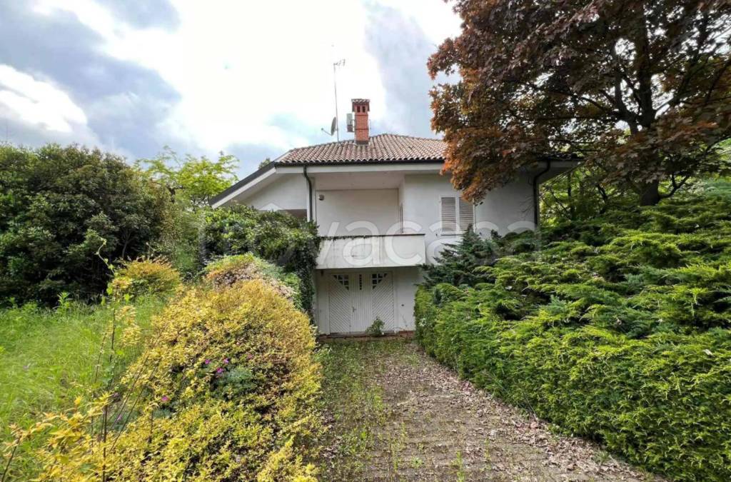 immagine annuncio 6 di 12