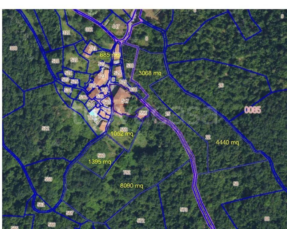 immagine annuncio 12 di 13