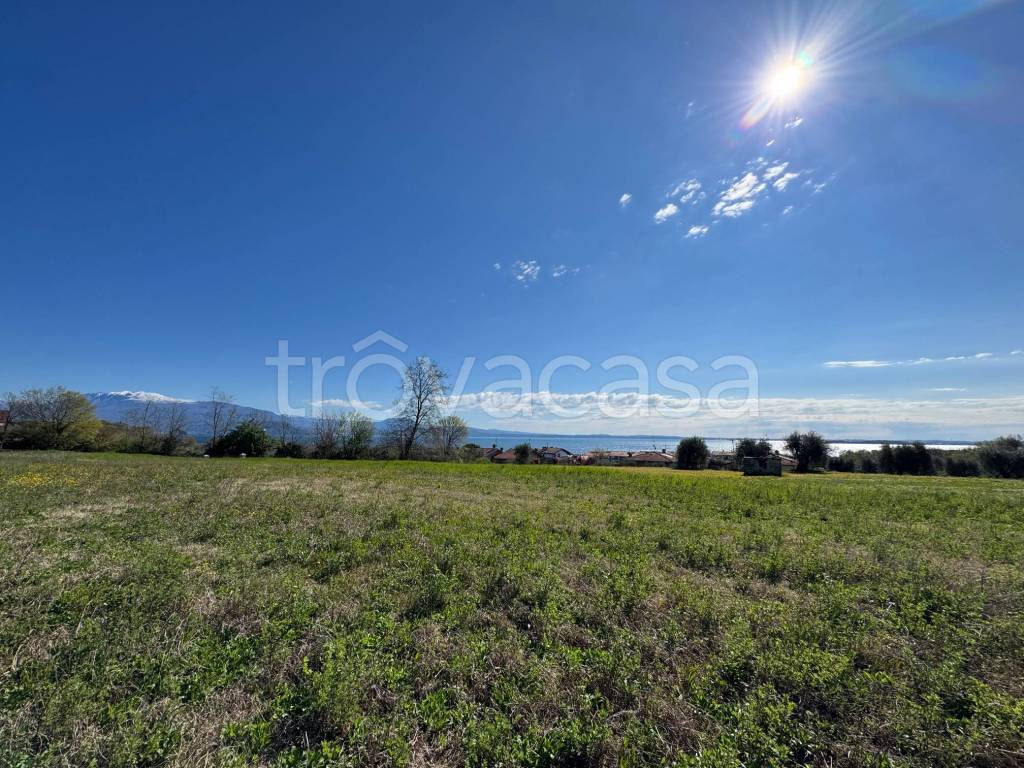 immagine annuncio 1 di 6