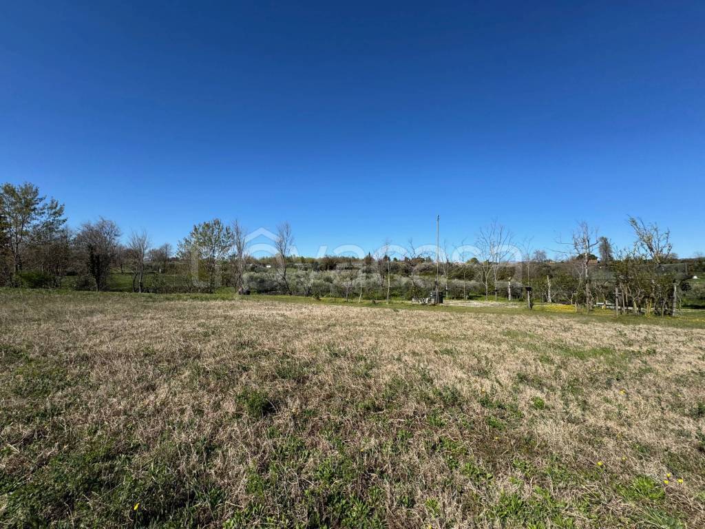 immagine annuncio 2 di 6