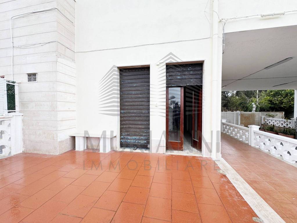 immagine annuncio 1 di 14