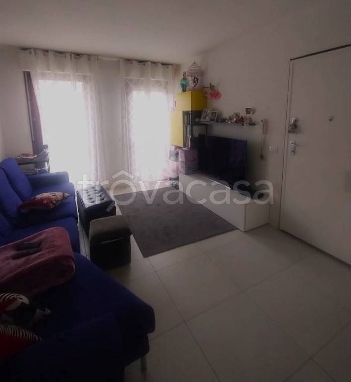 immagine annuncio 4 di 13