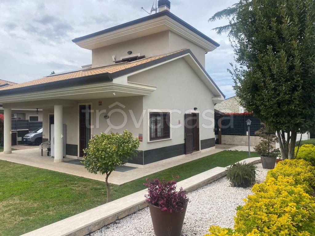 immagine annuncio 4 di 15