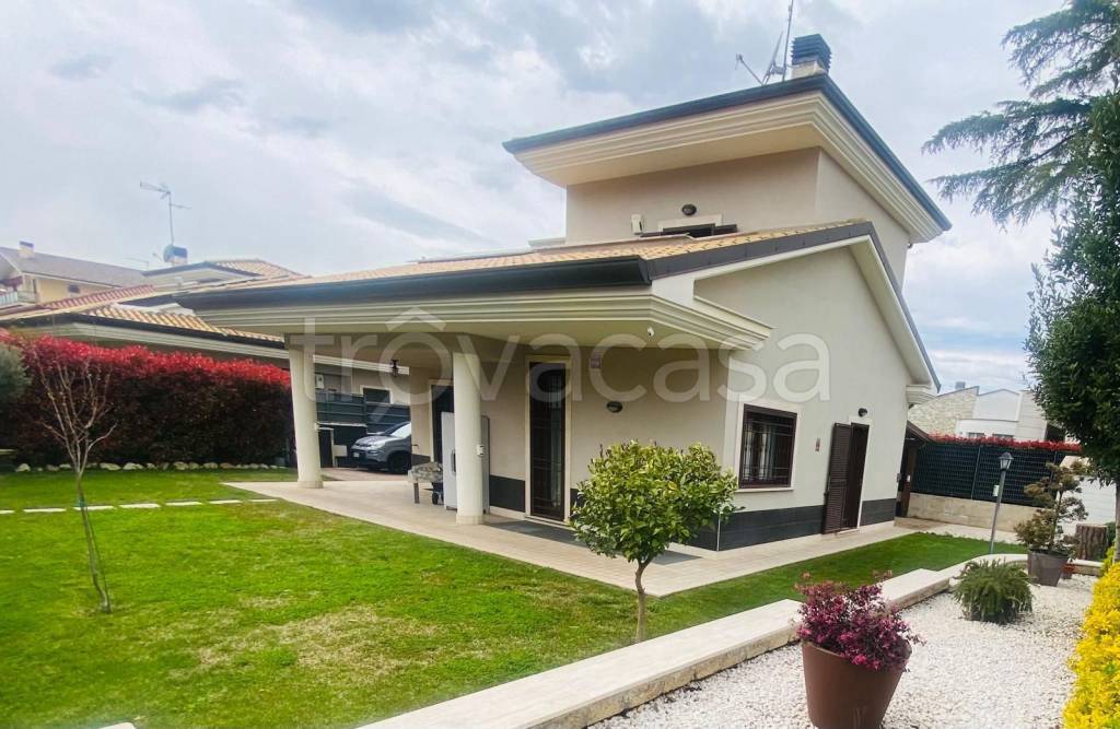 immagine annuncio 6 di 15