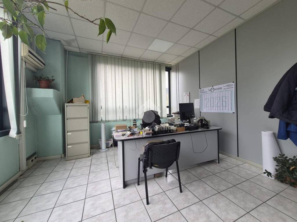 immagine annuncio 12 di 15