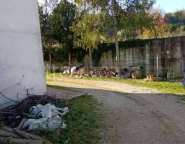 immagine annuncio 2 di 11