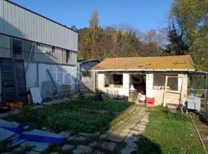 immagine annuncio 3 di 11