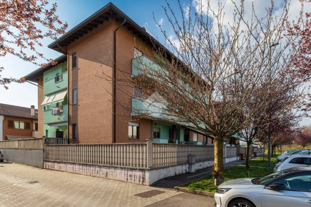 immagine annuncio 11 di 15