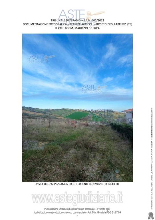 immagine annuncio 1 di 6