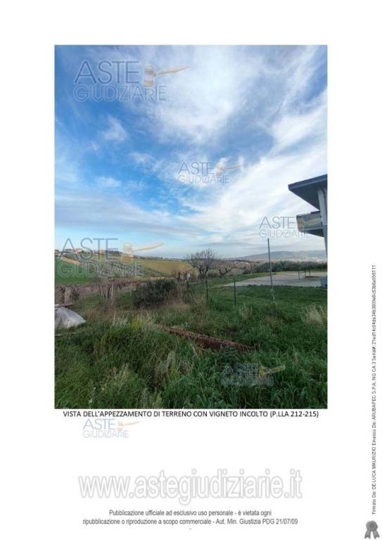 immagine annuncio 3 di 6