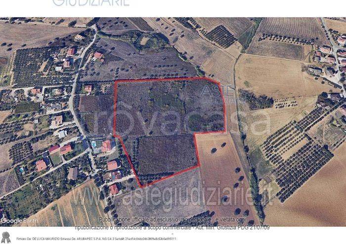 immagine annuncio 5 di 6