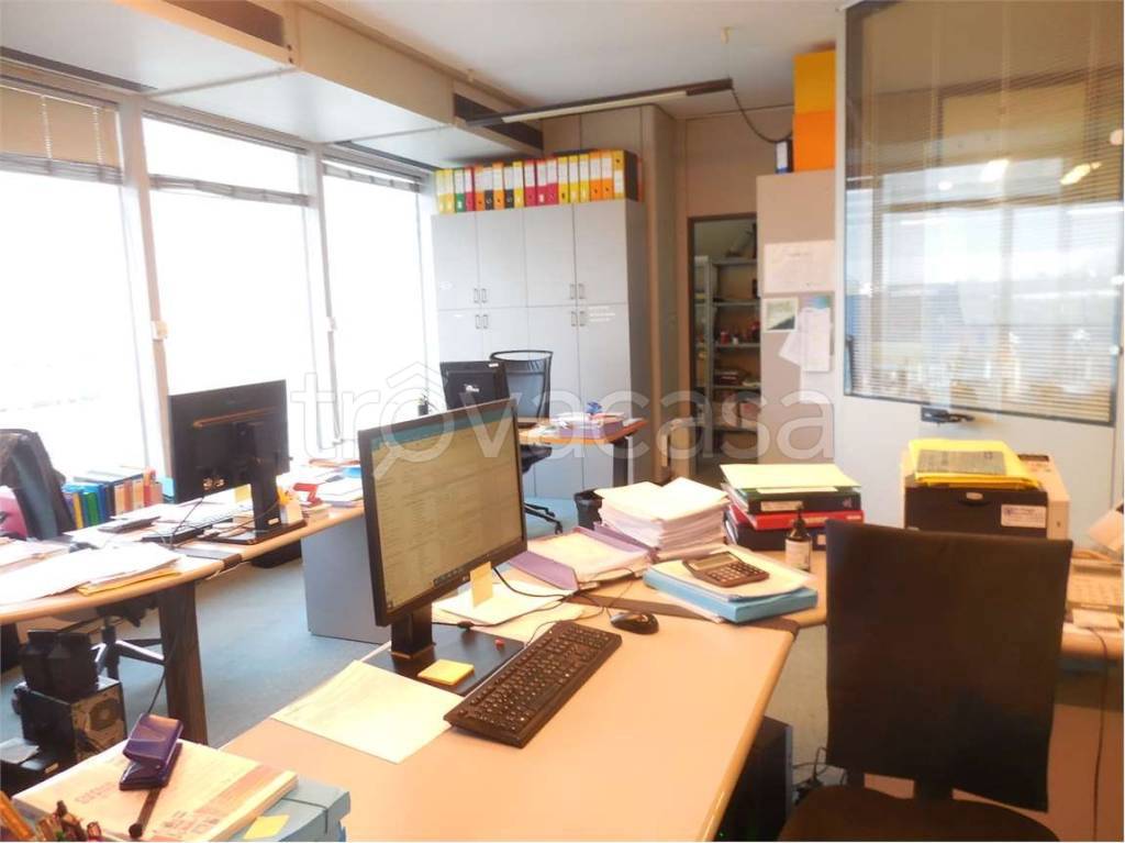 immagine annuncio 1 di 7