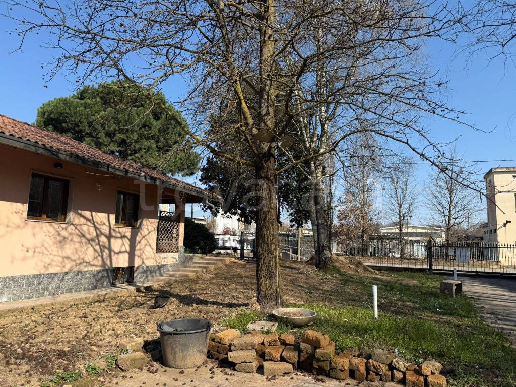 immagine annuncio 4 di 15