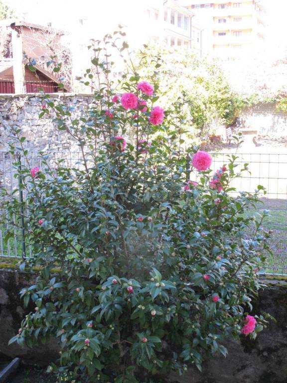 immagine annuncio 13 di 14