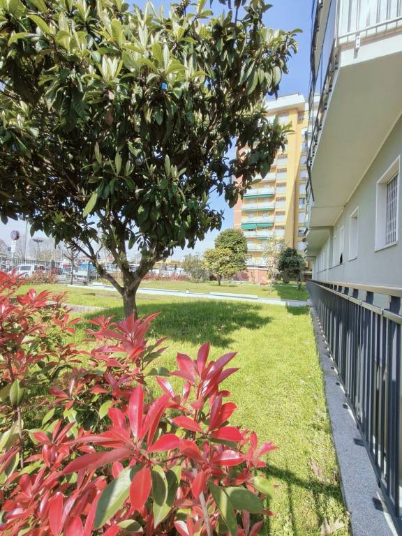 immagine annuncio 9 di 11